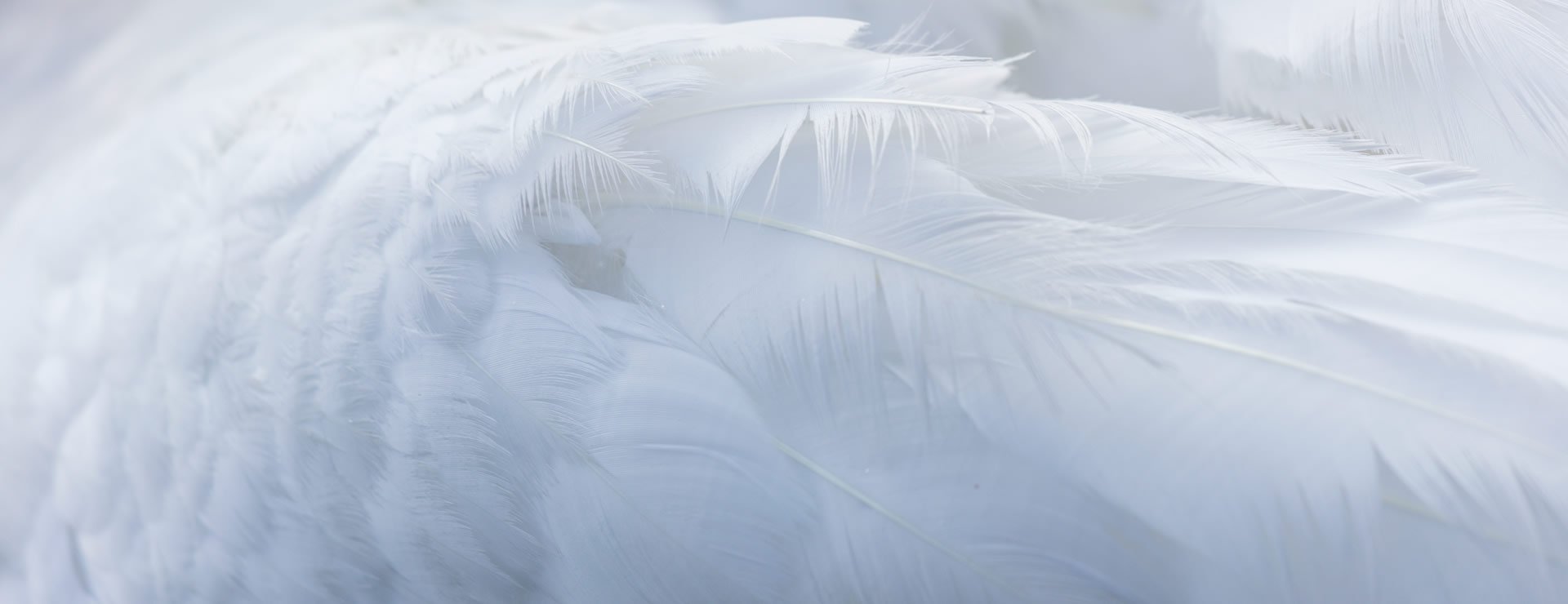 企業(yè)經(jīng)營(yíng)之本，力求言行一致。